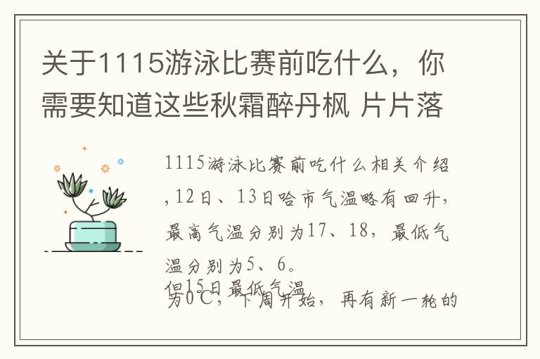 關于1115游泳比賽前吃什么，你需要知道這些秋霜醉丹楓 片片落葉秋意重 絕美留影地點推介（一）——每日聯(lián)線