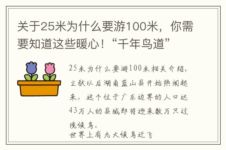 關(guān)于25米為什么要游100米，你需要知道這些暖心！“千年鳥道”迎候鳥過境，連續(xù)兩月關(guān)閉高桿路燈為鳥讓路