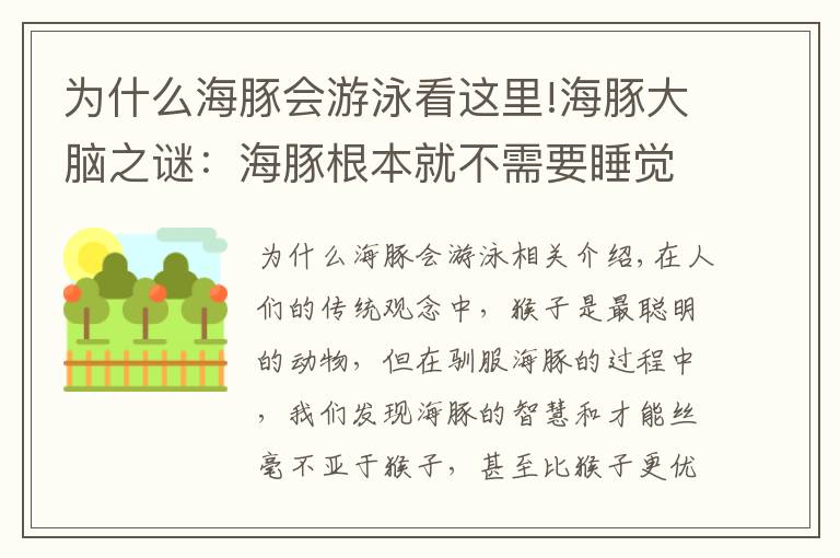 為什么海豚會游泳看這里!海豚大腦之謎：海豚根本就不需要睡覺嗎？連著幾天不休息地游泳？