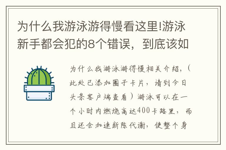 為什么我游泳游得慢看這里!游泳新手都會犯的8個錯誤，到底該如何修正？