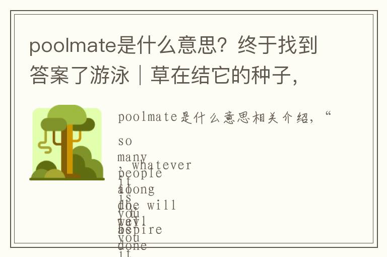 poolmate是什么意思？終于找到答案了游泳│草在結(jié)它的種子，風(fēng)在搖它的葉子，我在水里擁抱久違的自由