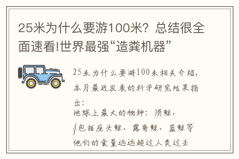 25米為什么要游100米？總結(jié)很全面速看!世界最強“造糞機器”