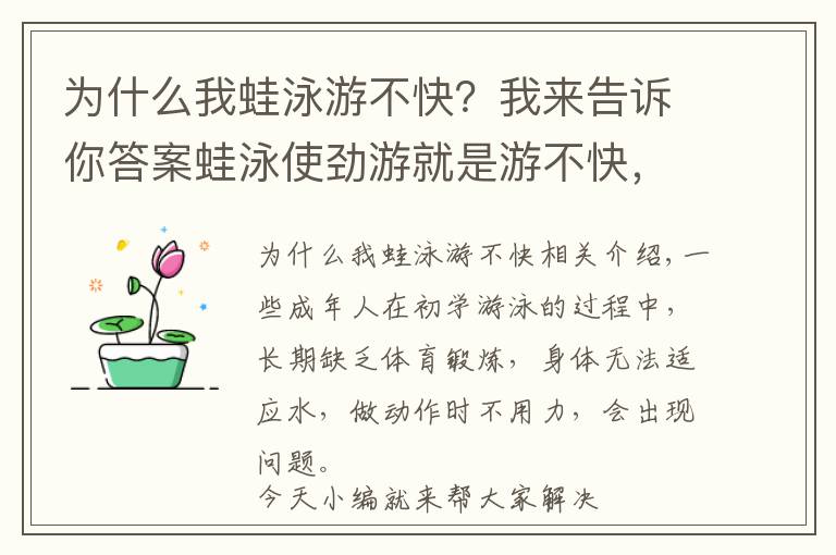 為什么我蛙泳游不快？我來告訴你答案蛙泳使勁游就是游不快，怎么辦？