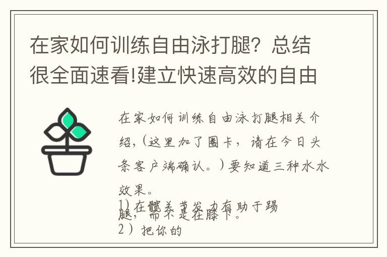 在家如何訓(xùn)練自由泳打腿？總結(jié)很全面速看!建立快速高效的自由泳打腿