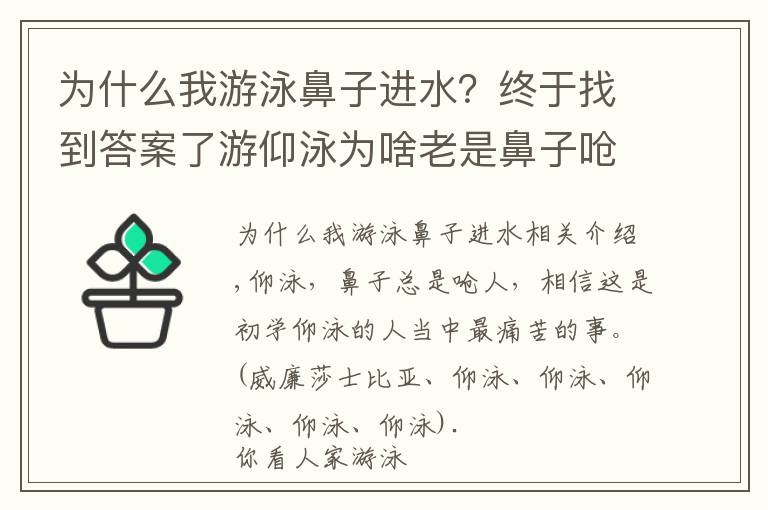 為什么我游泳鼻子進(jìn)水？終于找到答案了游仰泳為啥老是鼻子嗆水？