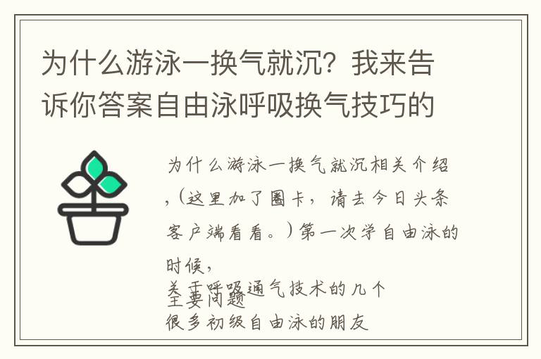 為什么游泳一換氣就沉？我來告訴你答案自由泳呼吸換氣技巧的四個要素