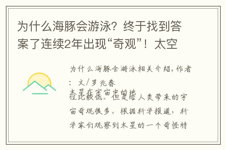 為什么海豚會(huì)游泳？終于找到答案了連續(xù)2年出現(xiàn)“奇觀”！太空船發(fā)現(xiàn)一只海豚在木星上“游泳”