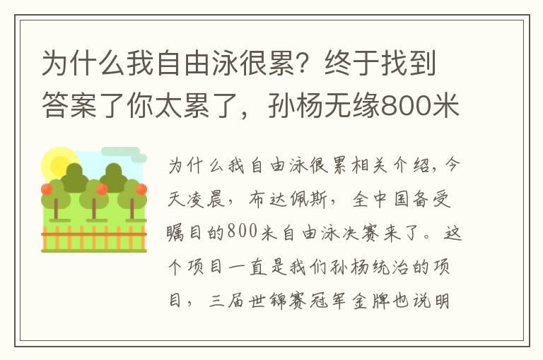 為什么我自由泳很累？終于找到答案了你太累了，孫楊無緣800米自由泳四連冠，賽后直接趴到泳池邊