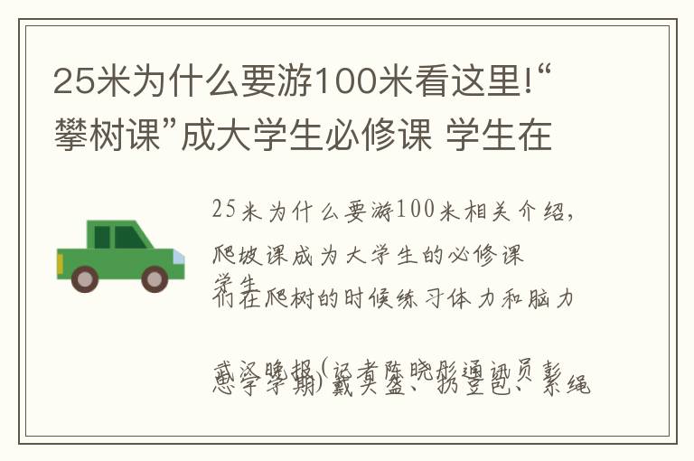 25米為什么要游100米看這里!“攀樹課”成大學(xué)生必修課 學(xué)生在爬樹中練體力強腦力