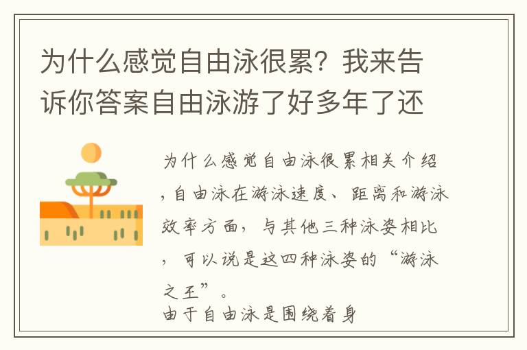 為什么感覺自由泳很累？我來(lái)告訴你答案自由泳游了好多年了還是游不過(guò)50米？那是因?yàn)槟銢]有做好這些事情