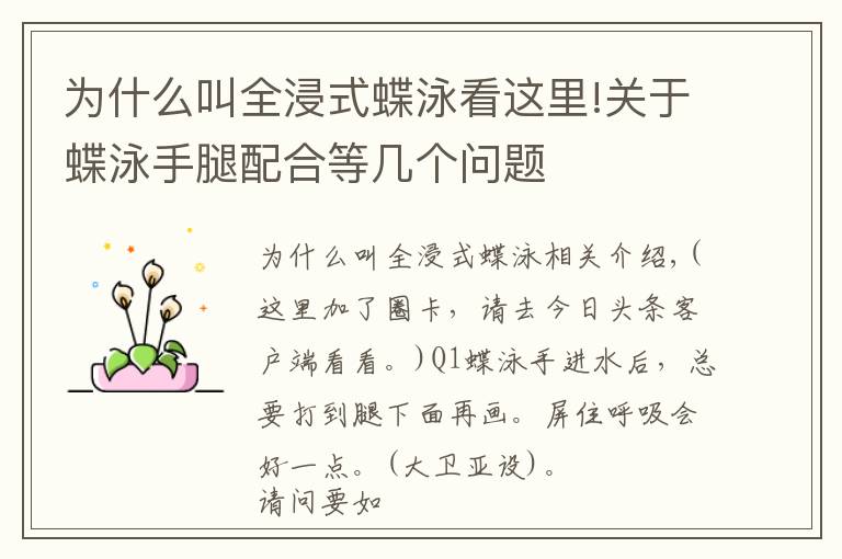 為什么叫全浸式蝶泳看這里!關于蝶泳手腿配合等幾個問題