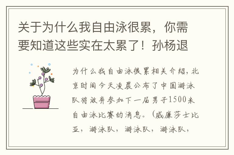 關(guān)于為什么我自由泳很累，你需要知道這些實在太累了！孫楊退出1500米自由泳爭奪，為長遠(yuǎn)考慮實乃明智之舉