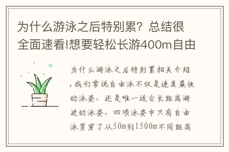 為什么游泳之后特別累？總結(jié)很全面速看!想要輕松長游400m自由泳？這些導(dǎo)致你「容易疲勞」的動(dòng)作需要改善