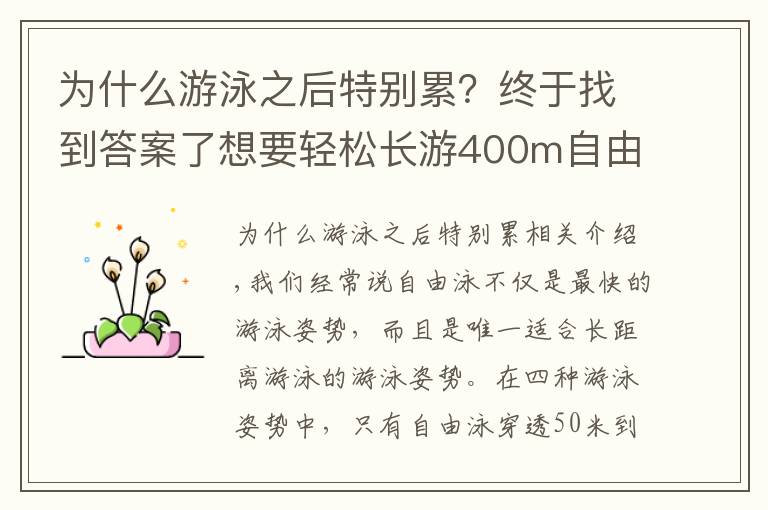 為什么游泳之后特別累？終于找到答案了想要輕松長(zhǎng)游400m自由泳？這些導(dǎo)致你「容易疲勞」的動(dòng)作需要改善