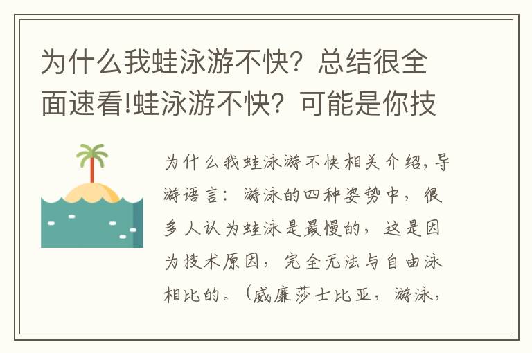 為什么我蛙泳游不快？總結(jié)很全面速看!蛙泳游不快？可能是你技術(shù)不到位！或許你該這么做