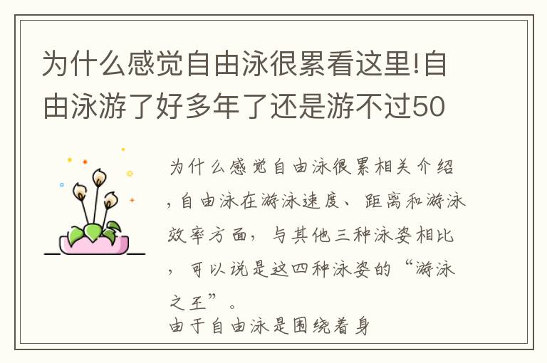 為什么感覺自由泳很累看這里!自由泳游了好多年了還是游不過(guò)50米？那是因?yàn)槟銢]有做好這些事情