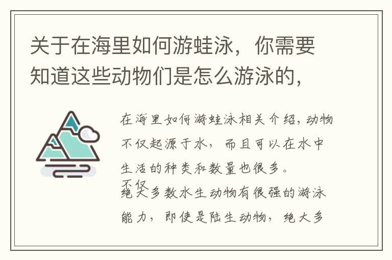 關(guān)于在海里如何游蛙泳，你需要知道這些動物們是怎么游泳的，它們游泳都會使用什么“特殊”技巧？