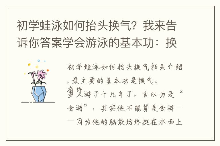 初學蛙泳如何抬頭換氣？我來告訴你答案學會游泳的基本功：換氣