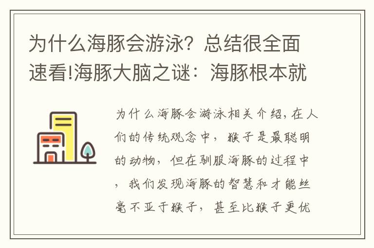 為什么海豚會游泳？總結(jié)很全面速看!海豚大腦之謎：海豚根本就不需要睡覺嗎？連著幾天不休息地游泳？