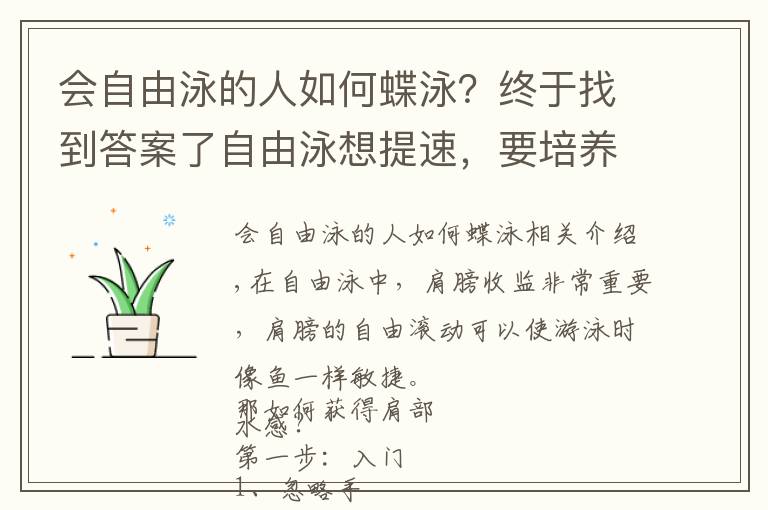 會自由泳的人如何蝶泳？終于找到答案了自由泳想提速，要培養(yǎng)肩部水感