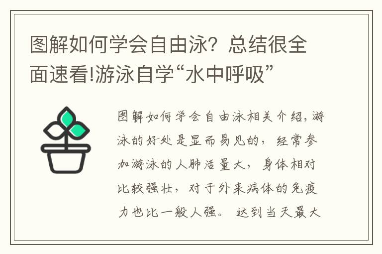 圖解如何學會自由泳？總結很全面速看!游泳自學“水中呼吸”