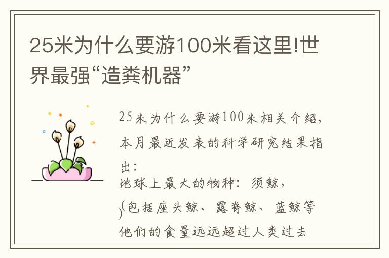 25米為什么要游100米看這里!世界最強(qiáng)“造糞機(jī)器”