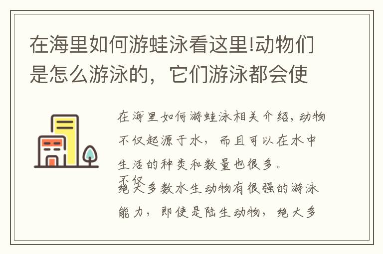 在海里如何游蛙泳看這里!動物們是怎么游泳的，它們游泳都會使用什么“特殊”技巧？