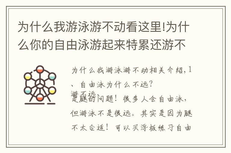 為什么我游泳游不動看這里!為什么你的自由泳游起來特累還游不遠？