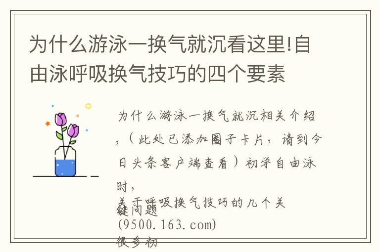 為什么游泳一換氣就沉看這里!自由泳呼吸換氣技巧的四個(gè)要素