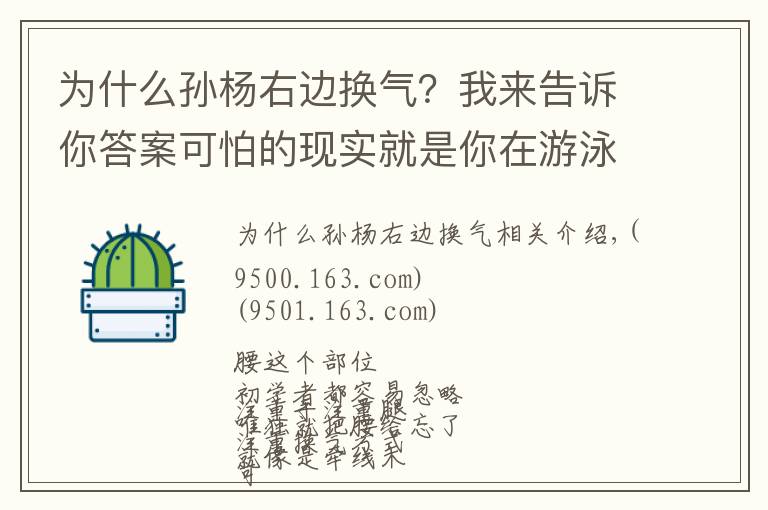 為什么孫楊右邊換氣？我來告訴你答案可怕的現(xiàn)實(shí)就是你在游泳中塌腰！急需這3種方法幫你糾正