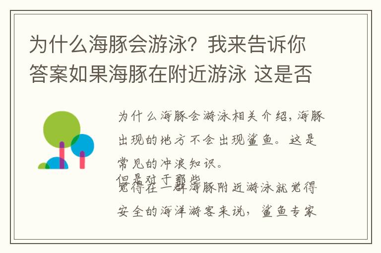 為什么海豚會游泳？我來告訴你答案如果海豚在附近游泳 這是否意味著鯊魚不在附近？