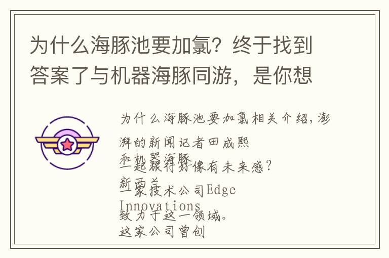 為什么海豚池要加氯？終于找到答案了與機(jī)器海豚同游，是你想象中未來海洋館的樣子嗎？