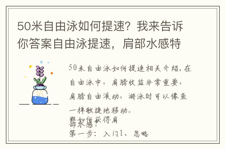 50米自由泳如何提速？我來(lái)告訴你答案自由泳提速，肩部水感特別重要