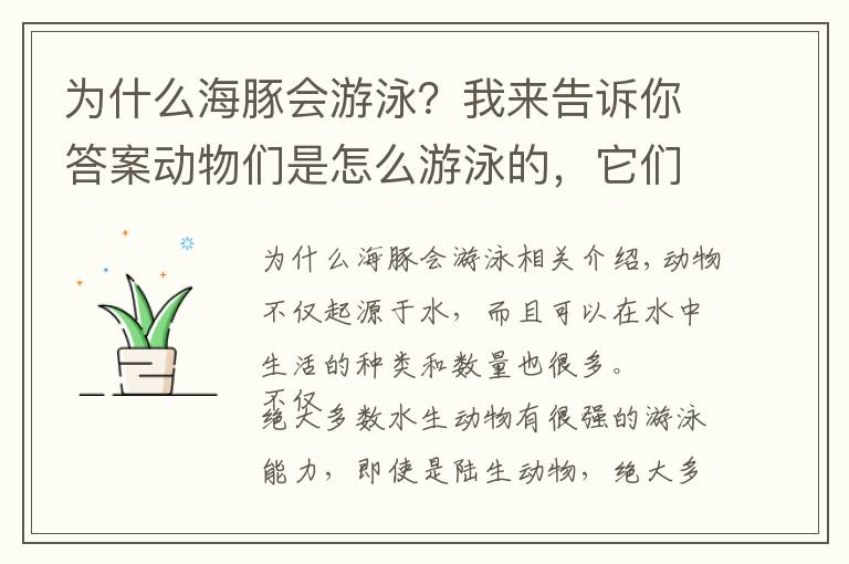 為什么海豚會游泳？我來告訴你答案動物們是怎么游泳的，它們游泳都會使用什么“特殊”技巧？