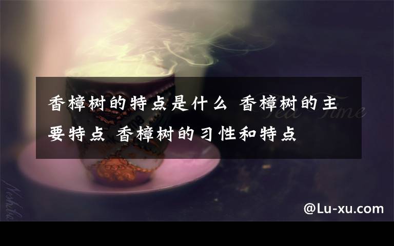 香樟樹的特點(diǎn)是什么 香樟樹的主要特點(diǎn) 香樟樹的習(xí)性和特點(diǎn)