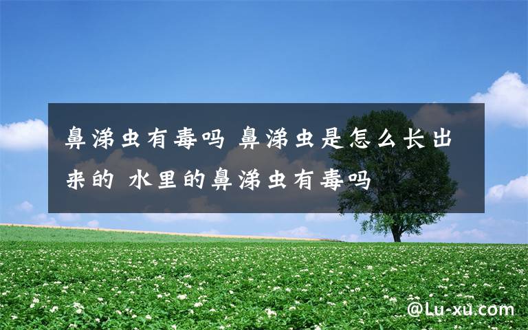 鼻涕蟲(chóng)有毒嗎 鼻涕蟲(chóng)是怎么長(zhǎng)出來(lái)的 水里的鼻涕蟲(chóng)有毒嗎