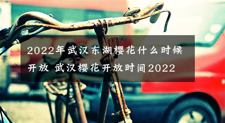 2022年武漢東湖櫻花什么時候開放 武漢櫻花開放時間2022