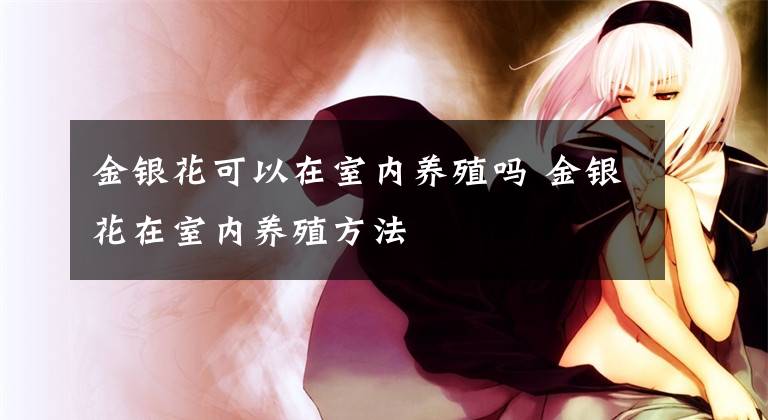 金銀花可以在室內(nèi)養(yǎng)殖嗎 金銀花在室內(nèi)養(yǎng)殖方法