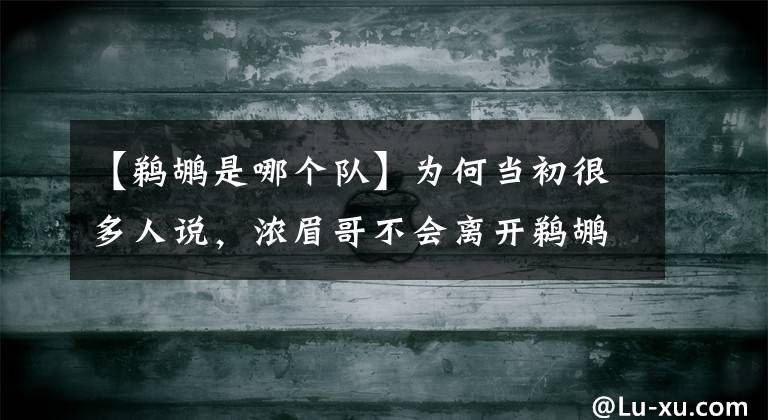 【鵜鶘是哪個(gè)隊(duì)】為何當(dāng)初很多人說(shuō)，濃眉哥不會(huì)離開(kāi)鵜鶘隊(duì)？也認(rèn)為不會(huì)進(jìn)入湖人隊(duì)