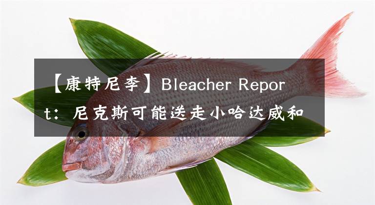 【康特尼李】Bleacher Report：尼克斯可能送走小哈達(dá)威和康特尼-李