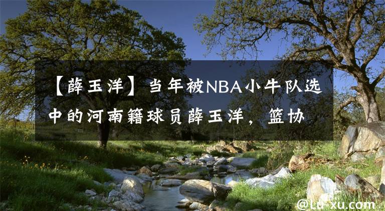 【薛玉洋】當(dāng)年被NBA小牛隊(duì)選中的河南籍球員薛玉洋，籃協(xié)為什么禁止他出國(guó)