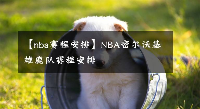 【nba賽程安排】NBA密爾沃基雄鹿隊賽程安排