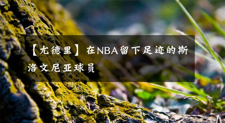 【尤德里】在NBA留下足跡的斯洛文尼亞球員