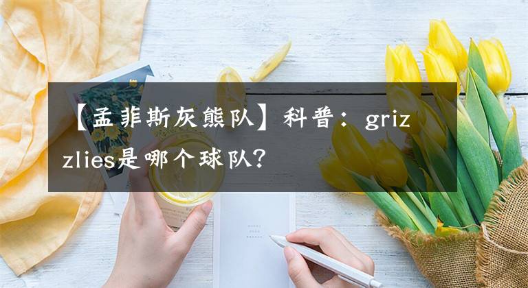 【孟菲斯灰熊隊】科普：grizzlies是哪個球隊？