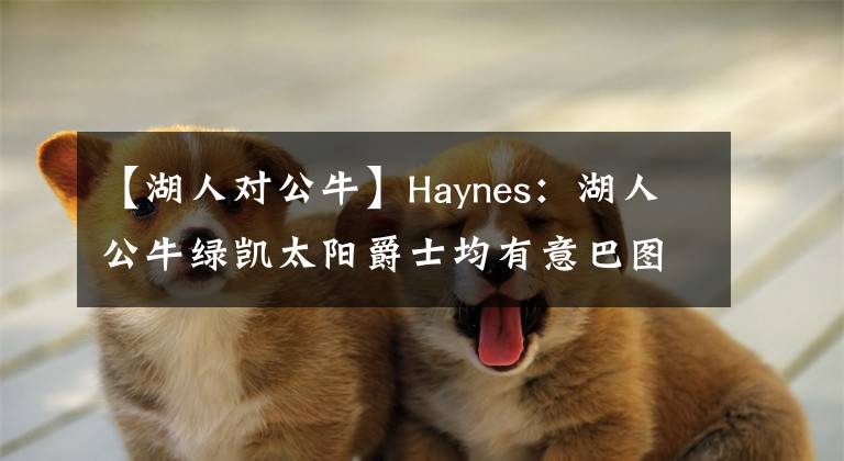 【湖人對公牛】Haynes：湖人公牛綠凱太陽爵士均有意巴圖姆 快船處領先位置