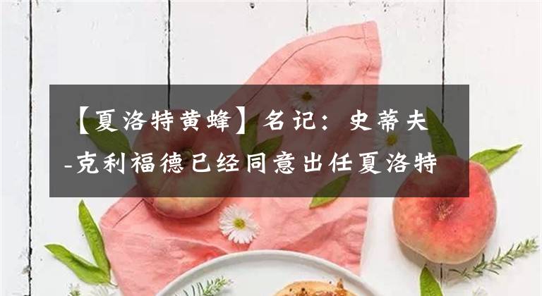 【夏洛特黃蜂】名記：史蒂夫-克利福德已經(jīng)同意出任夏洛特黃蜂的主教練