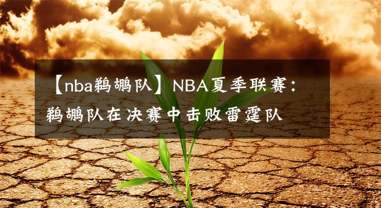 【nba鵜鶘隊】NBA夏季聯(lián)賽：鵜鶘隊在決賽中擊敗雷霆隊