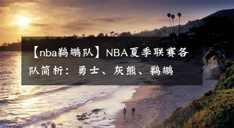 【nba鵜鶘隊】NBA夏季聯(lián)賽各隊簡析：勇士、灰熊、鵜鶘