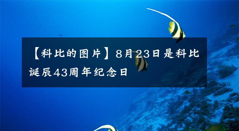 【科比的圖片】8月23日是科比誕辰43周年紀(jì)念日