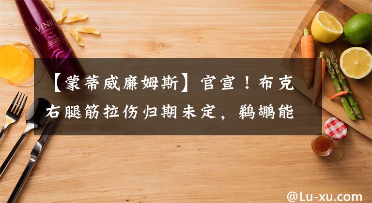 【蒙蒂威廉姆斯】官宣！布克右腿筋拉傷歸期未定，鵜鶘能否上演黑8奇跡？